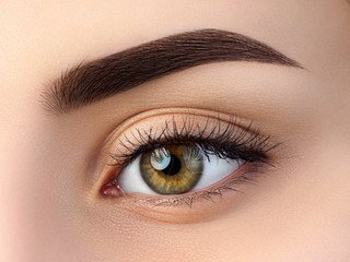 La Micropigmentation des Sourcils sur Paris : Un savoir-faire unique